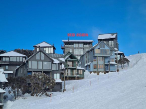 Red Robin, Hotham Heights
